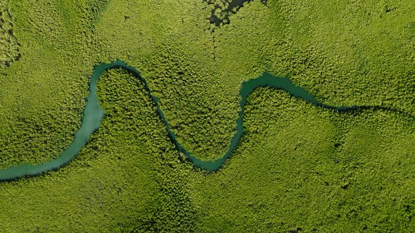 Quels sont les meilleurs moyens de développer une alimentation locale et durable ?